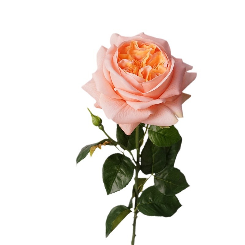 ดอกกุหลาบจำลอง 3 ดอก แบบจูเลีย - Photography Lighting Simulator Free บทวิจารณ์และราคา